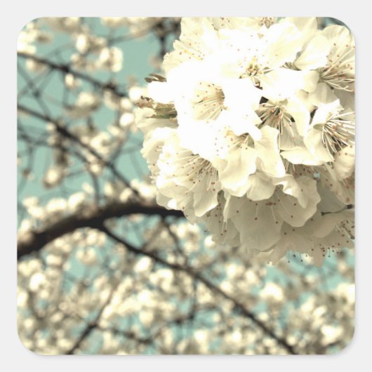 Vintage Apfelblüte スクエアシール (正面)