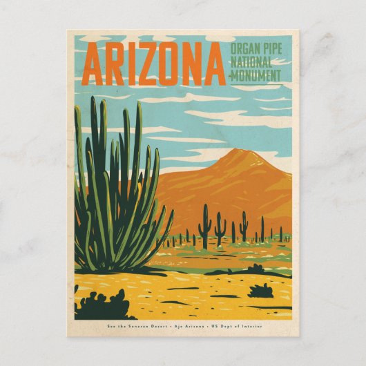 Vintage Arizona Desert Cactus  ポストカード (正面)