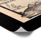 Vintage art fresh and saltwater fish chart ポスター (角)