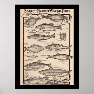 Vintage art fresh and saltwater fish chart ポスター