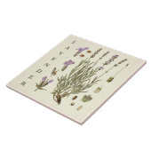 Vintage Art: Lavender Plant and Flowers Scientific タイル (側面)