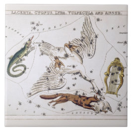 Vintage Astronomical Map of Lacerta, Cygnus, Lyra タイル