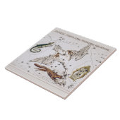 Vintage Astronomical Map of Lacerta, Cygnus, Lyra タイル (側面)