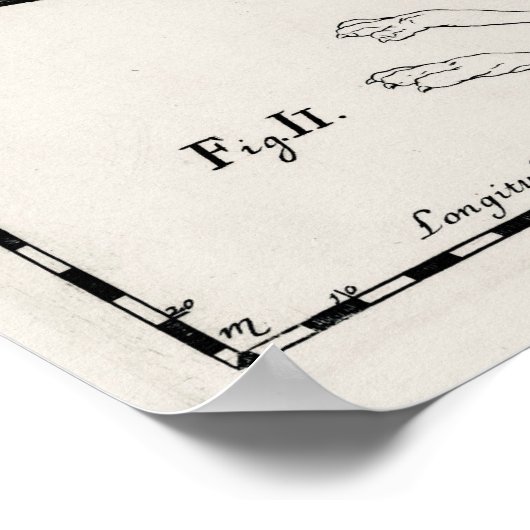 Vintage Astronomy Constellations Celestial Map ポスター (角)