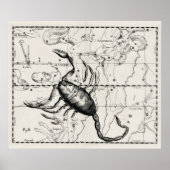 Vintage Astronomy Constellations Celestial Map ポスター (正面)