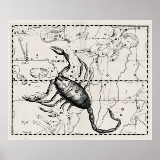 Vintage Astronomy Constellations Celestial Map  ポスター (正面)