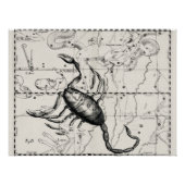 Vintage Astronomy Constellations Celestial Map  ポスター (正面)