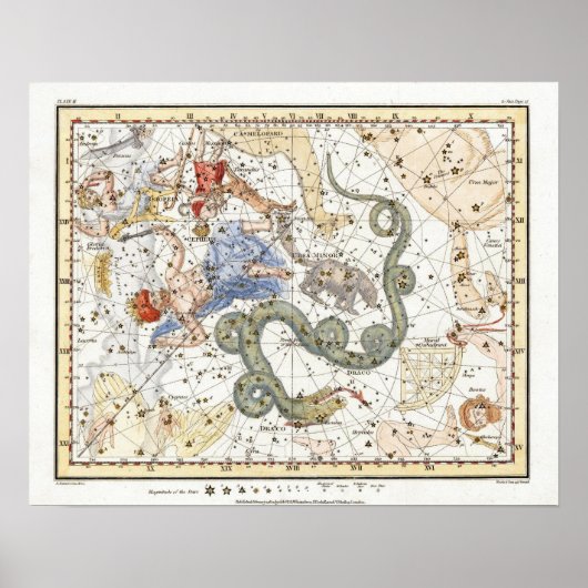 Vintage Astronomy Constellations Map ポスター (正面)