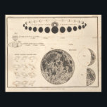 Vintage Astronomy Print #13 Celestial Chart ポスター<br><div class="desc">This fine specimen is one in a collection.</div>
