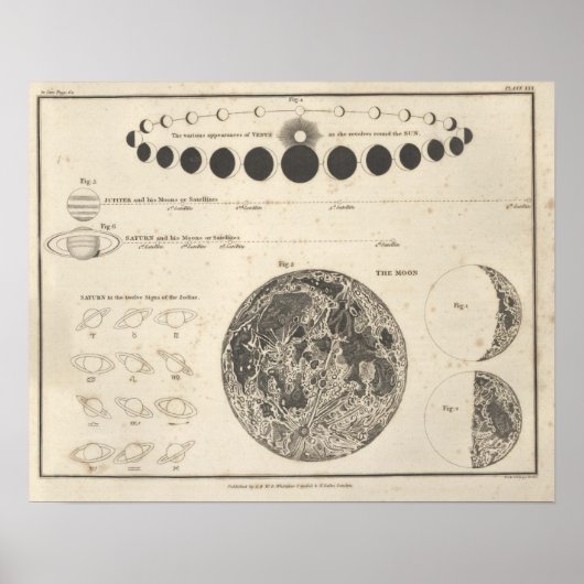 Vintage Astronomy Print #13 Celestial Chart ポスター (正面)