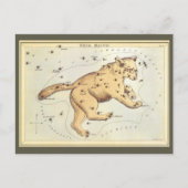 Vintage Astronomy, Ursa Major Constellation, Bear ポストカード (正面)