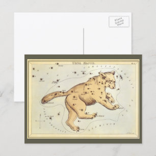 Vintage Astronomy, Ursa Major Constellation, Bear ポストカード
