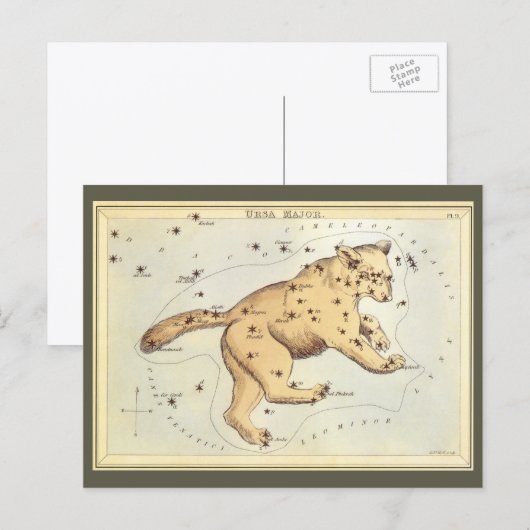 Vintage Astronomy, Ursa Major Constellation, Bear ポストカード (正面/裏面)