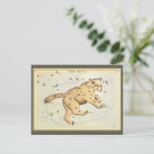 Vintage Astronomy, Ursa Major Constellation, Bear ポストカード (スタンド正面)