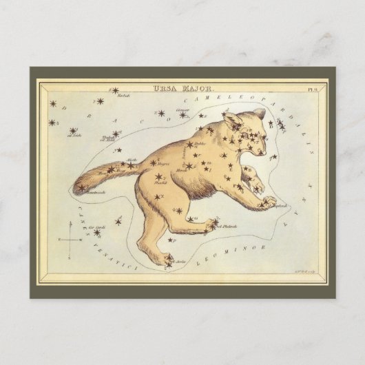 Vintage Astronomy, Ursa Major Constellation, Bear ポストカード (正面)
