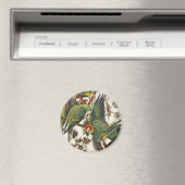 Vintage Audubon Carolina Parakeet Bird Art マグネット (インサイチュ (食洗機))