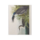 Vintage Audubon Common Loon Bird Nature Art ノートパッド (回転)