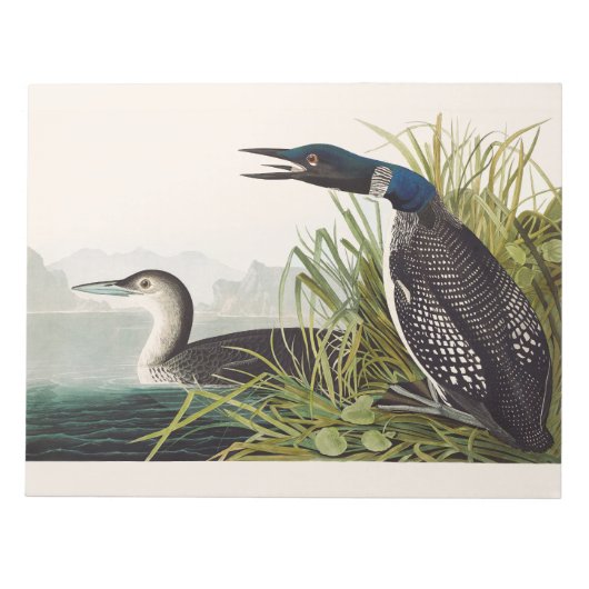 Vintage Audubon Common Loon Bird Nature Art ノートパッド (正面)