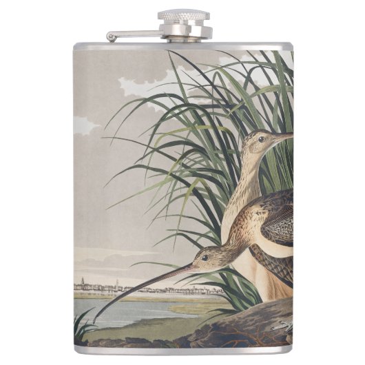 Vintage Audubon Long-billed Curlew Bird Art フラスク (正面)