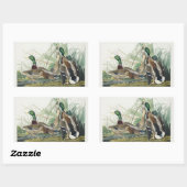 Vintage Audubon Mallard Duck Wildlife Art 長方形シール (シート)