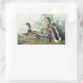 Vintage Audubon Mallard Duck Wildlife Art 長方形シール (バッグ)
