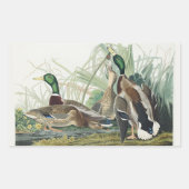 Vintage Audubon Mallard Duck Wildlife Art 長方形シール (正面)