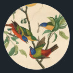 Vintage Audubon Painting Bunting Bird Painting  ラウンドシール<br><div class="desc">This classic painting of a group of beautiful Painted Buntings is by the great 19th Century American naturalist and painter, John James Audubon. John James Audubon (born Jean Rabin; April 26, 1785 – January 27, 1851) was an American ornithologist, naturalist, and painter. He was notable for his extensive studies documenting...</div>
