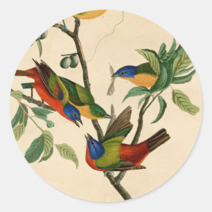 Vintage Audubon Painting Bunting Bird Painting ラウンドシール