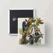 Vintage Audubon Pileated Woodpecker Bird Art 缶バッジ (正面&裏面)