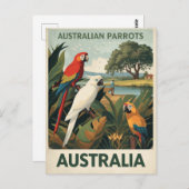 Vintage Australia Parrots Wildlife ポストカード (正面/裏面)