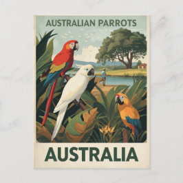 Vintage Australia Parrots Wildlife ポストカード