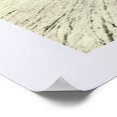 Vintage Austria, Grossglockner ポスター (角)