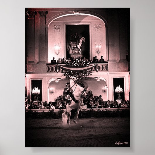 Vintage Austria Vienna Spanish Courbette ポスター (正面)