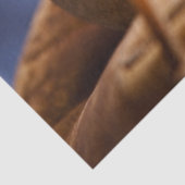 Vintage Baseball 薄葉紙 (詳細)