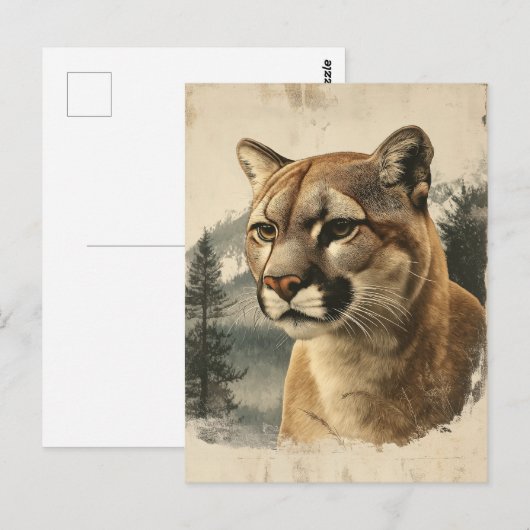 Vintage Berglöwe In Winterlandschaft ポストカード (正面/裏面)