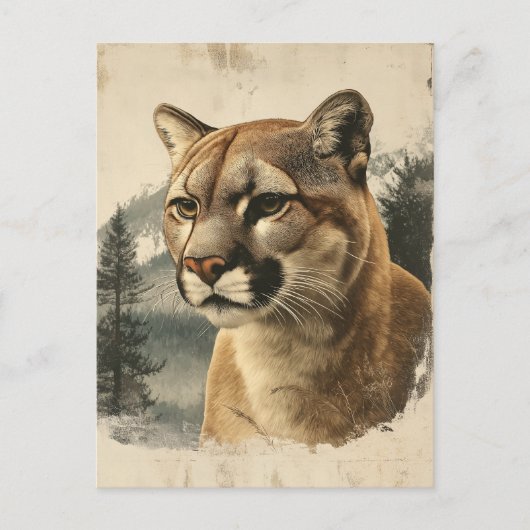 Vintage Berglöwe In Winterlandschaft ポストカード (正面)