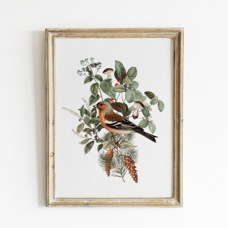 Vintage Bird and Mushroom Botanical ポスター