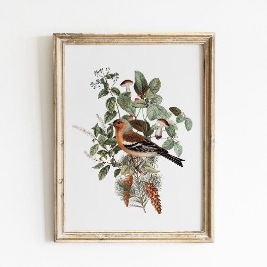 Vintage Bird and Mushroom Botanical ポスター