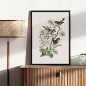 Vintage Bird Botanical ポスター