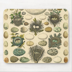 Vintage Bird Egg Nest Art Painting Eggs マウスパッド