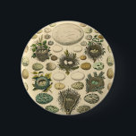 Vintage Bird Egg Nest Art Painting Eggs 缶バッジ<br><div class="desc">Vintage bird egg watercolor painting in a wallpaper pattern,  from an antique book from the 1800s. This bird egg art is a painting - drawing design artwork.</div>