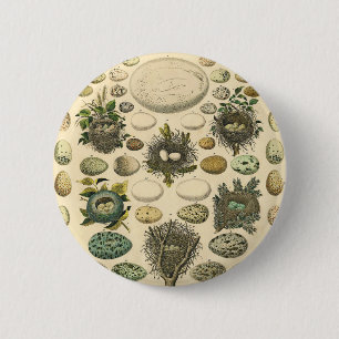 Vintage Bird Egg Nest Art Painting Eggs 缶バッジ