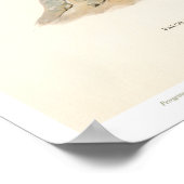 Vintage Bird Illustration- Peregrine Falcon Poster ポスター (角)