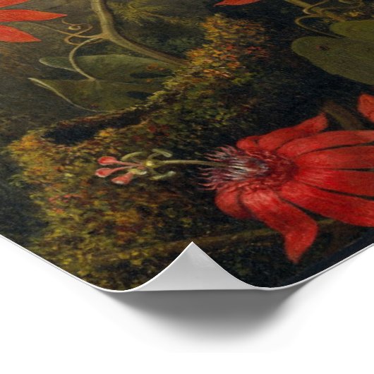 Vintage Birds Illustration ポスター (角)