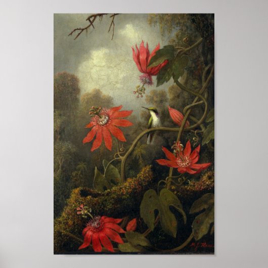 Vintage Birds Illustration ポスター (正面)