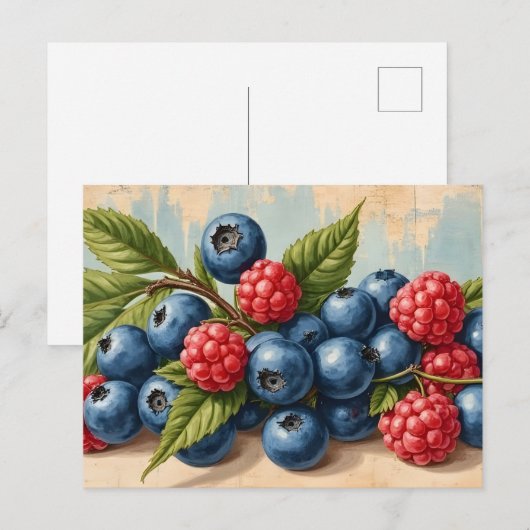 Vintage Blueberries and Raspberries  ポストカード (正面/裏面)