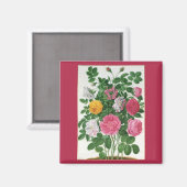 Vintage Blühende Blumen, Frühlingsgarten Rosen マグネット (正面/裏面)