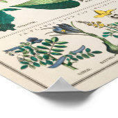 Vintage Botanical Chart: Economical Uses of Plants ポスター (角)