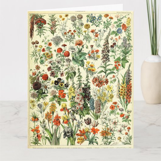Vintage Botanical Fleurs Poster Postcard サンキューカード (正面)