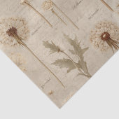 Vintage Botanical Floral Pattern (10) 薄葉紙 (詳細)